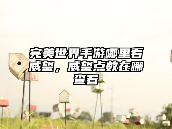 完美世界手游哪里看威望，威望点数在哪查看