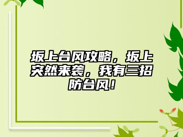 坂上台风攻略，坂上突然来袭，我有三招防台风！