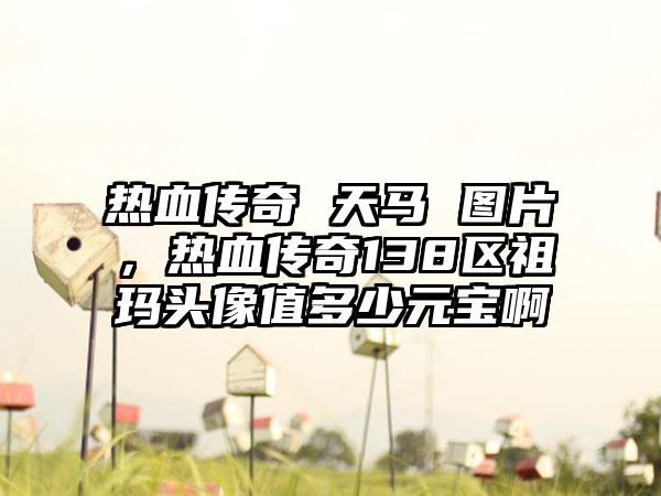 热血传奇 天马 图片，热血传奇138区祖玛头像值多少元宝啊