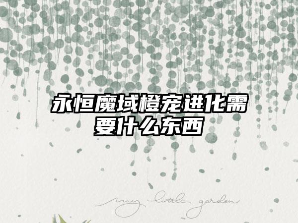 永恒魔域橙宠进化需要什么东西