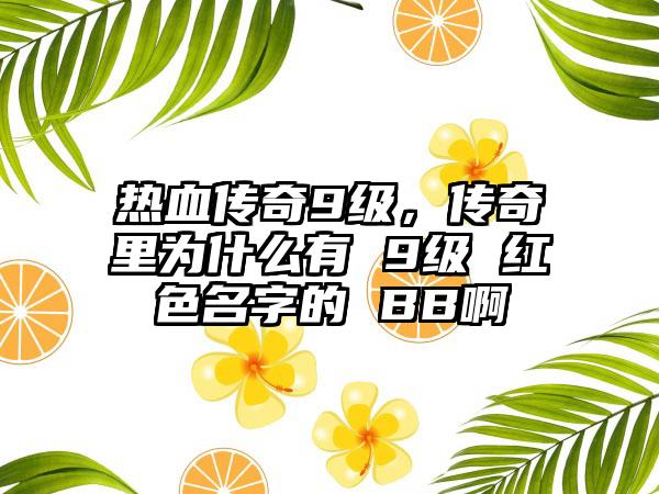 热血传奇9级，传奇里为什么有 9级 红色名字的 BB啊