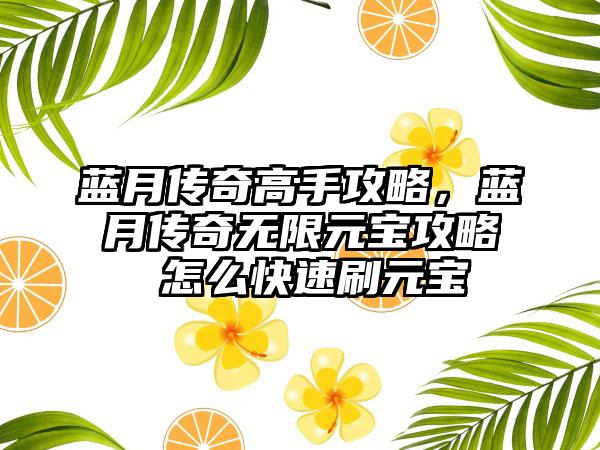 蓝月传奇高手攻略，蓝月传奇无限元宝攻略 怎么快速刷元宝