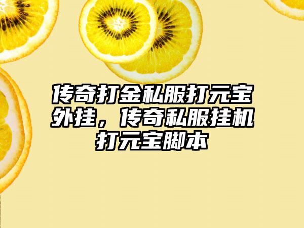 传奇打金私服打元宝外挂，传奇私服挂机打元宝脚本