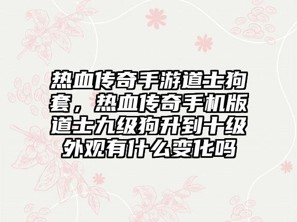 热血传奇手游道士狗套，热血传奇手机版道士九级狗升到十级外观有什么变化吗