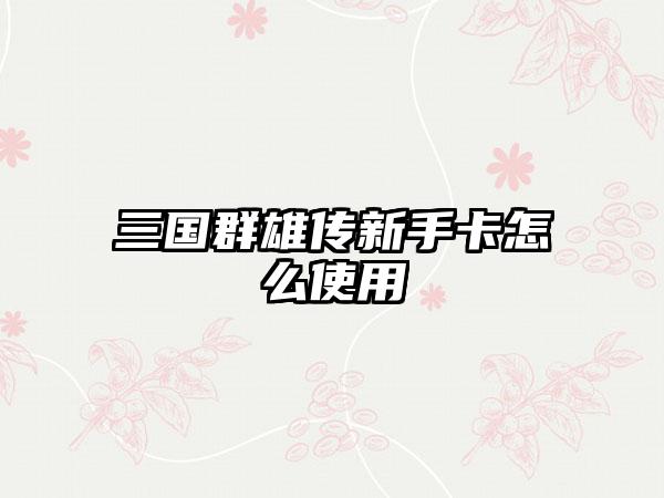 三国群雄传新手卡怎么使用