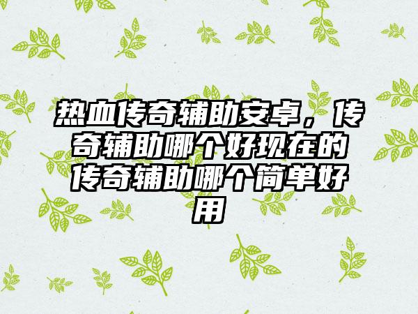 热血传奇辅助安卓，传奇辅助哪个好现在的传奇辅助哪个简单好用