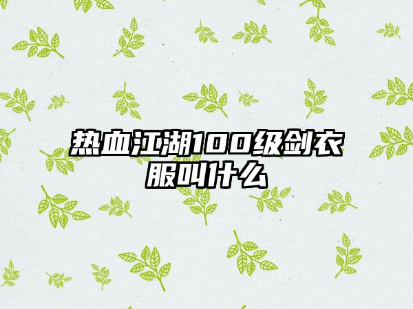 热血江湖100级剑衣服叫什么