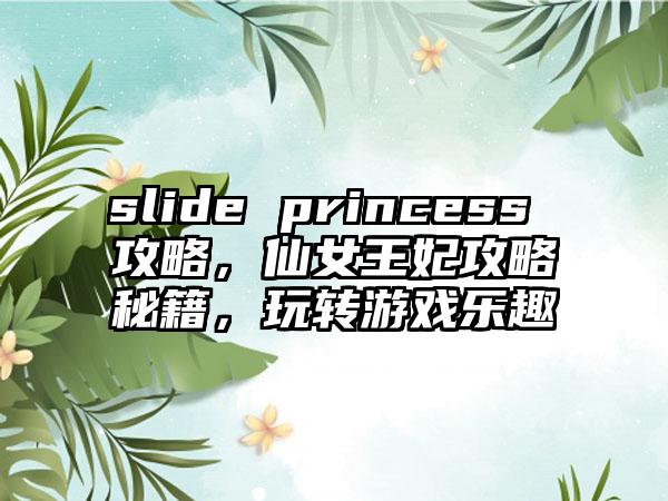 slide princess 攻略，仙女王妃攻略秘籍，玩转游戏乐趣