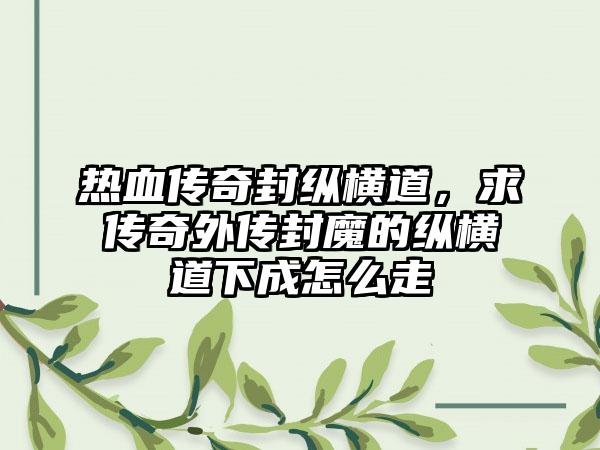 热血传奇封纵横道，求传奇外传封魔的纵横道下成怎么走