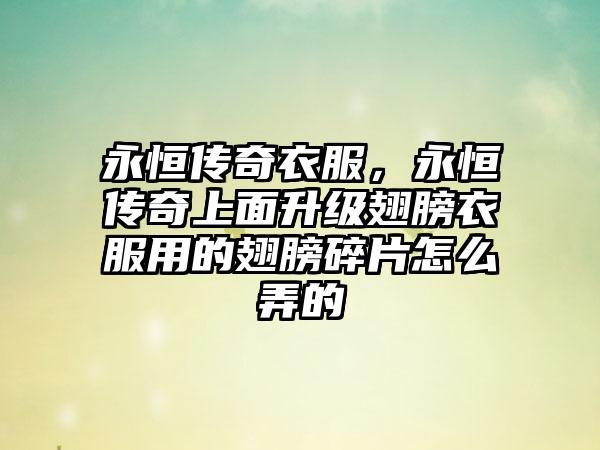 永恒传奇衣服，永恒传奇上面升级翅膀衣服用的翅膀碎片怎么弄的