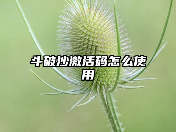 斗破沙激活码怎么使用