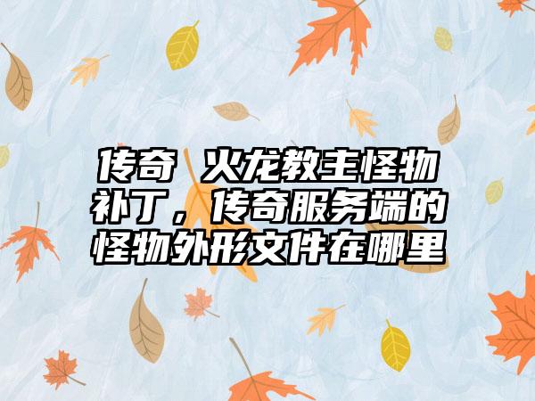 传奇 火龙教主怪物补丁，传奇服务端的怪物外形文件在哪里