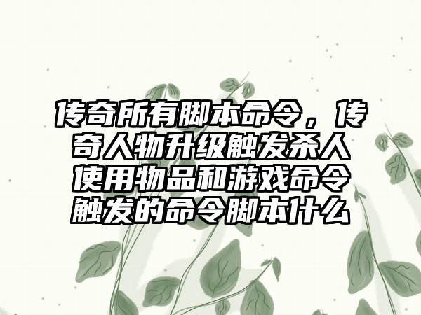 传奇所有脚本命令，传奇人物升级触发杀人使用物品和游戏命令触发的命令脚本什么