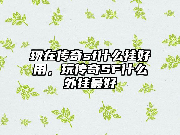 现在传奇sf什么挂好用，玩传奇SF什么外挂最好