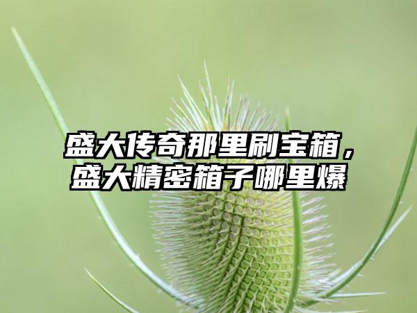 盛大传奇那里刷宝箱，盛大精密箱子哪里爆