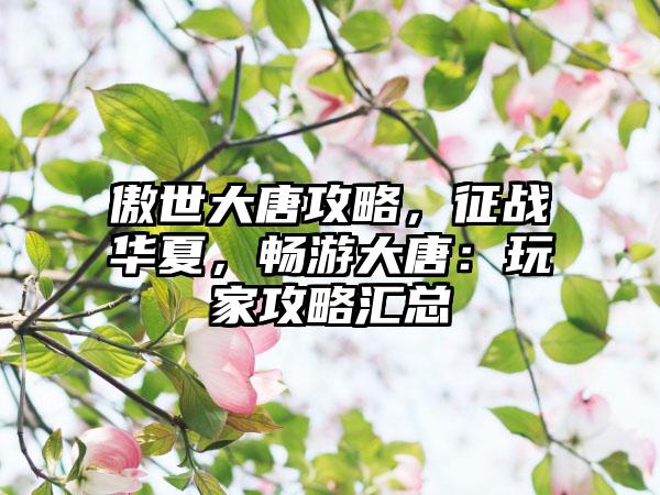 傲世大唐攻略，征战华夏，畅游大唐：玩家攻略汇总