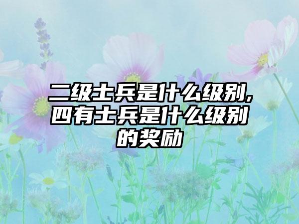 二级士兵是什么级别,四有士兵是什么级别的奖励