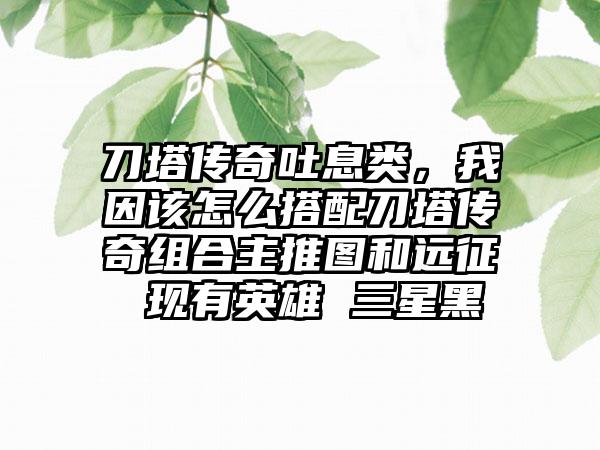 刀塔传奇吐息类，我因该怎么搭配刀塔传奇组合主推图和远征 现有英雄 三星黑