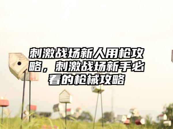 刺激战场新人用枪攻略，刺激战场新手必看的枪械攻略