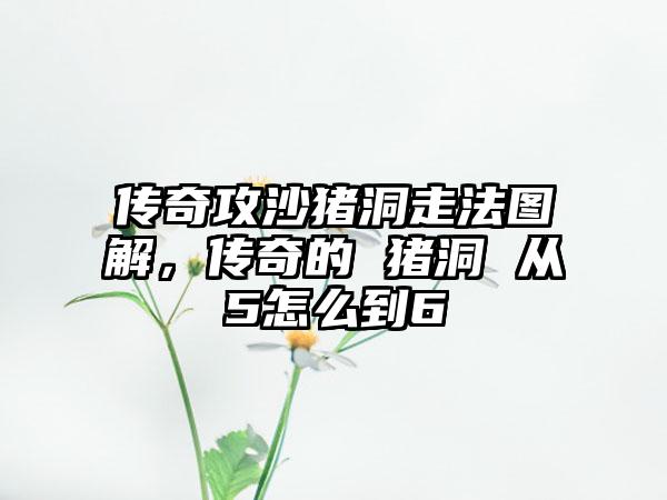 传奇攻沙猪洞走法图解，传奇的 猪洞 从5怎么到6
