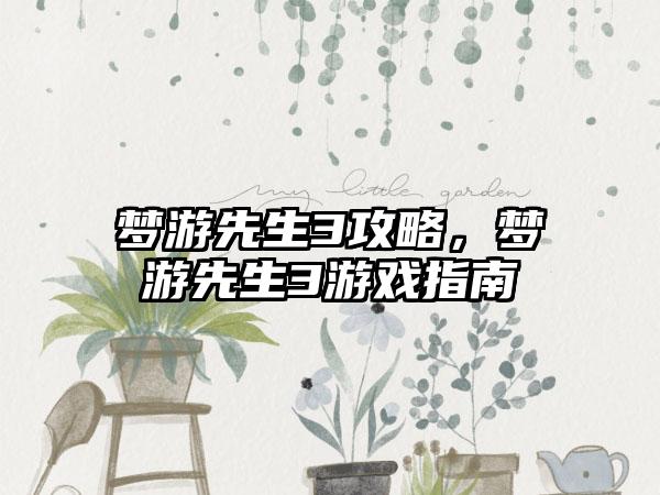 梦游先生3攻略，梦游先生3游戏指南