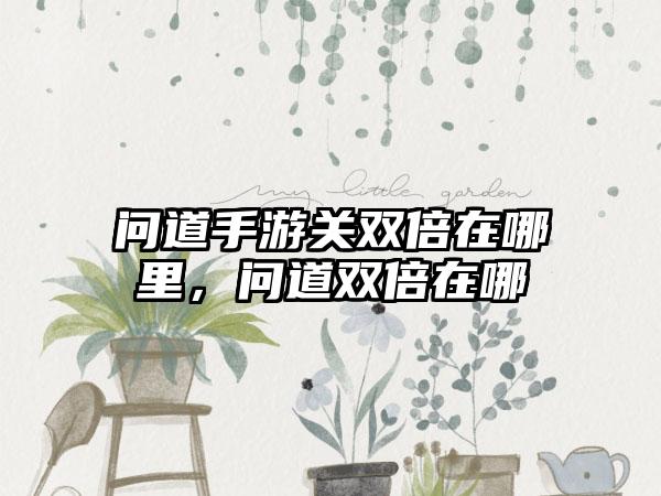 问道手游关双倍在哪里，问道双倍在哪
