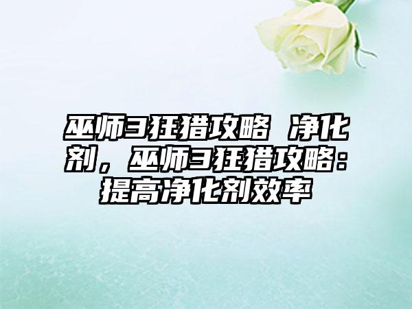 巫师3狂猎攻略 净化剂，巫师3狂猎攻略：提高净化剂效率