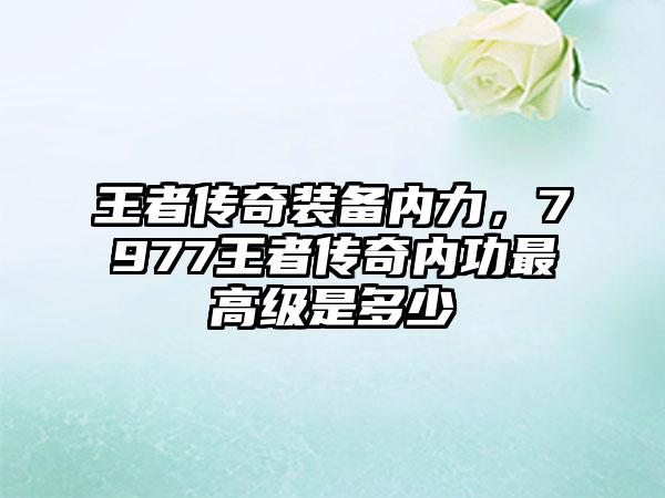 王者传奇装备内力，7977王者传奇内功最高级是多少