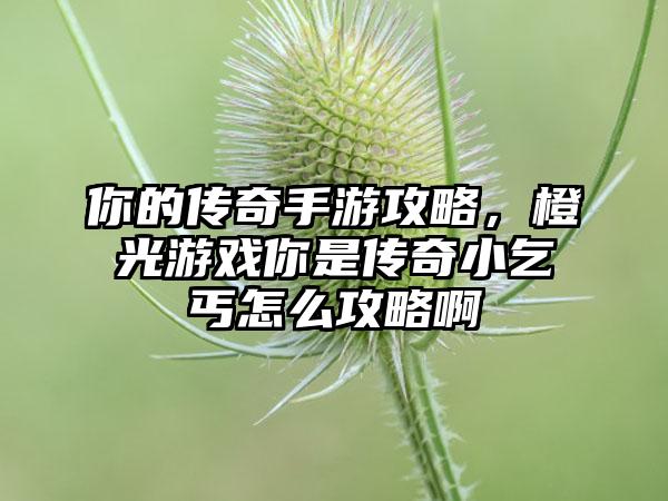 你的传奇手游攻略，橙光游戏你是传奇小乞丐怎么攻略啊
