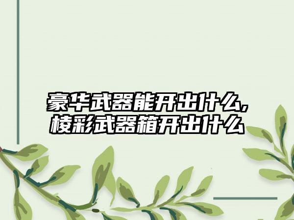 豪华武器能开出什么,棱彩武器箱开出什么