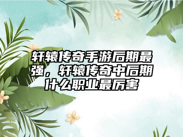 轩辕传奇手游后期最强，轩辕传奇中后期什么职业最厉害