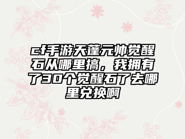 cf手游天蓬元帅觉醒石从哪里搞，我拥有了30个觉醒石了去哪里兑换啊