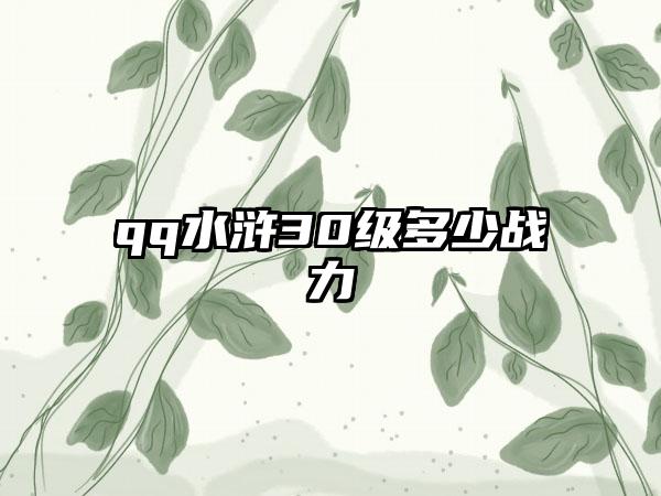 qq水浒30级多少战力
