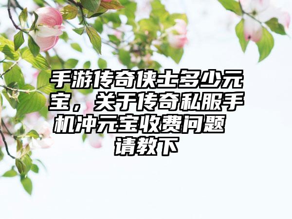 手游传奇侠士多少元宝，关于传奇私服手机冲元宝收费问题 请教下