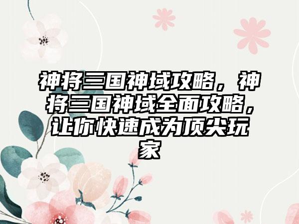 神将三国神域攻略，神将三国神域全面攻略，让你快速成为顶尖玩家