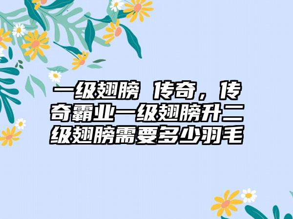 一级翅膀 传奇，传奇霸业一级翅膀升二级翅膀需要多少羽毛