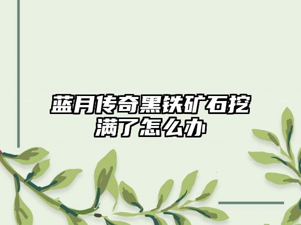 蓝月传奇黑铁矿石挖满了怎么办