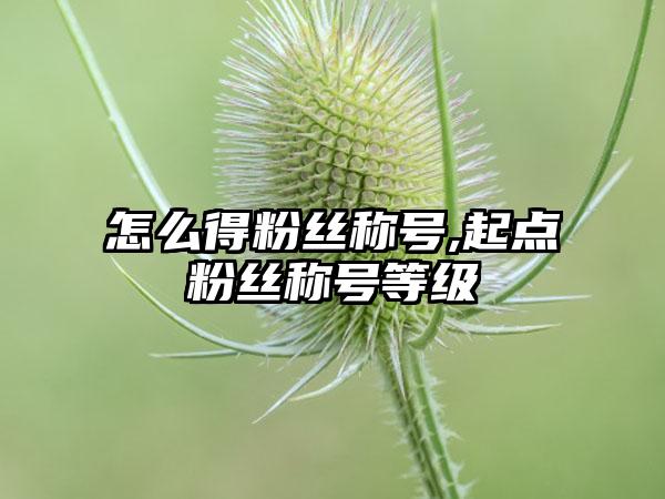 怎么得粉丝称号,起点粉丝称号等级