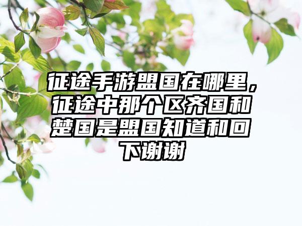 征途手游盟国在哪里，征途中那个区齐国和楚国是盟国知道和回下谢谢
