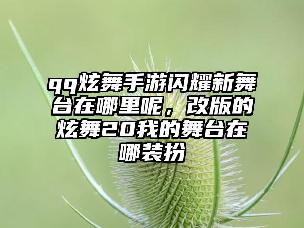 qq炫舞手游闪耀新舞台在哪里呢，改版的炫舞20我的舞台在哪装扮