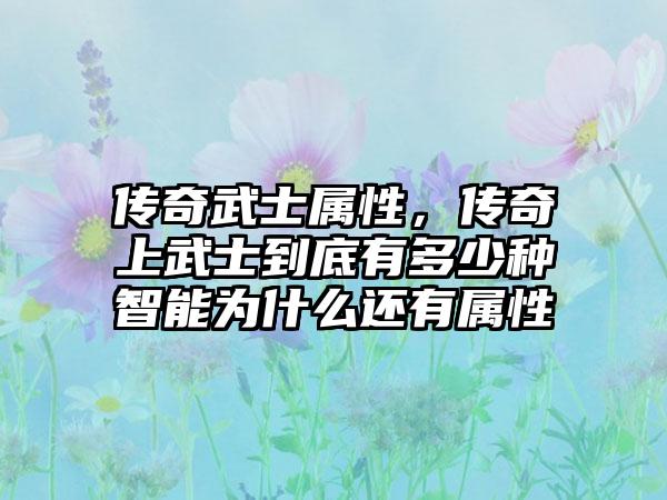 传奇武士属性，传奇上武士到底有多少种智能为什么还有属性