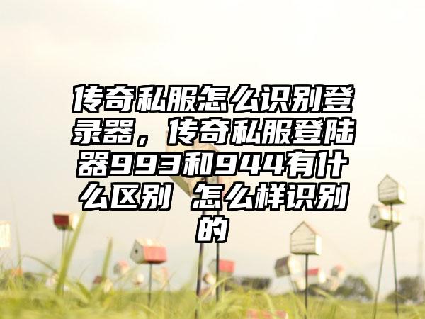 传奇私服怎么识别登录器，传奇私服登陆器993和944有什么区别 怎么样识别的