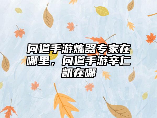问道手游炼器专家在哪里，问道手游辛仁凯在哪