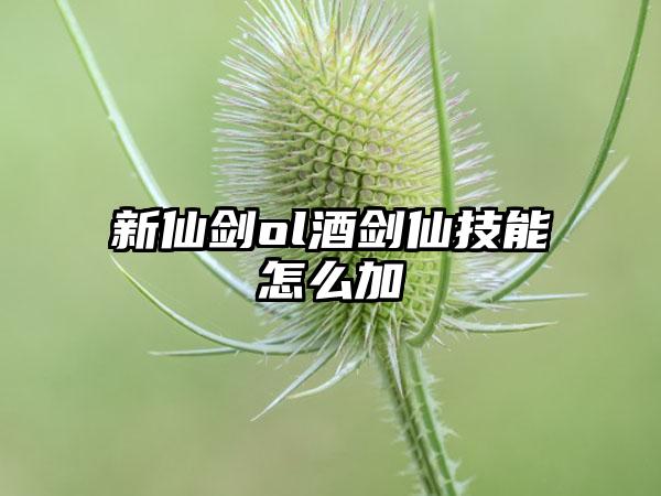 新仙剑ol酒剑仙技能怎么加
