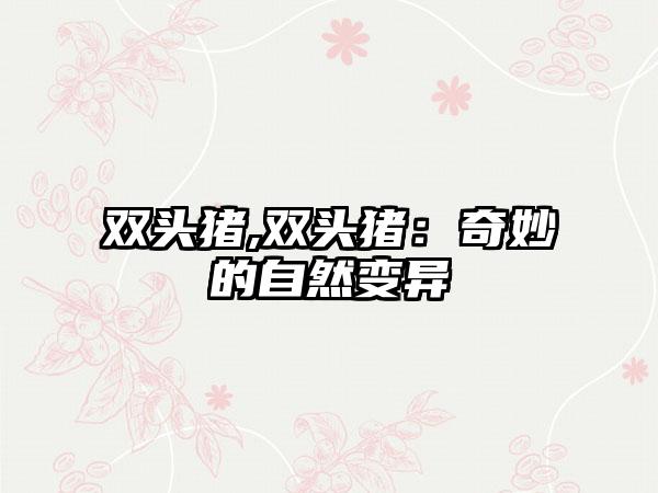 双头猪,双头猪：奇妙的自然变异