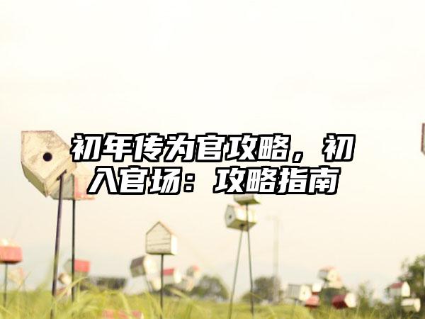 初年传为官攻略，初入官场：攻略指南