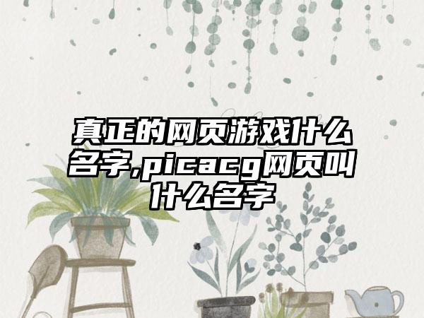 真正的网页游戏什么名字,picacg网页叫什么名字