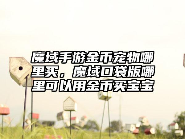 魔域手游金币宠物哪里买，魔域口袋版哪里可以用金币买宝宝