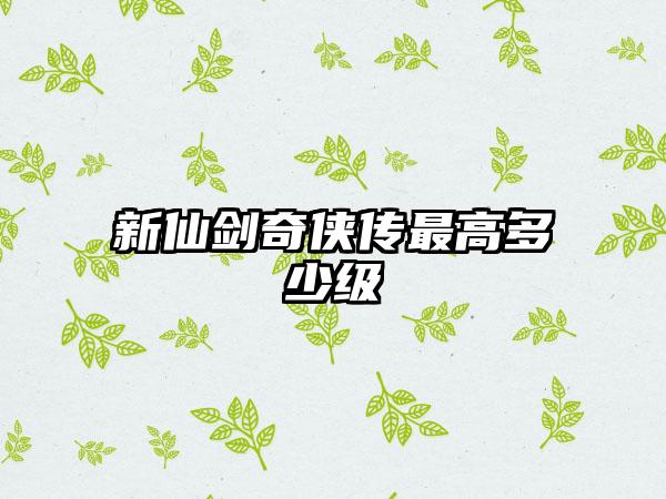 新仙剑奇侠传最高多少级