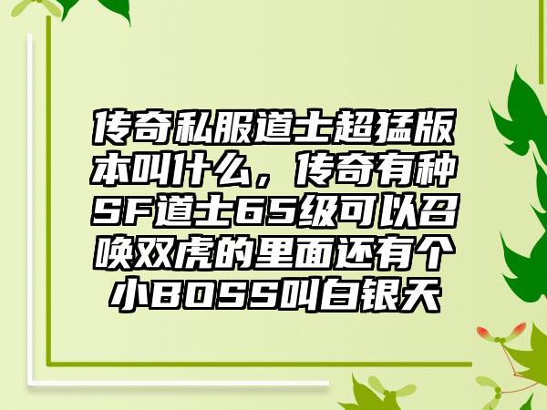传奇私服道士超猛版本叫什么，传奇有种SF道士65级可以召唤双虎的里面还有个小BOSS叫白银天